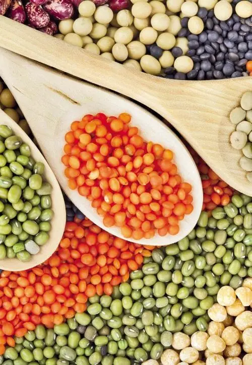 Таблица Грибы Таблица Мясо с - фото 83