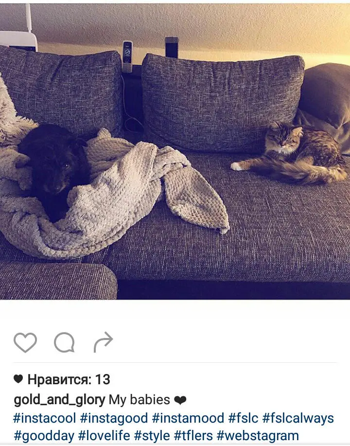 Хэштег комбинирует несколько взаимных тегов Follow shoutout like comment - фото 24