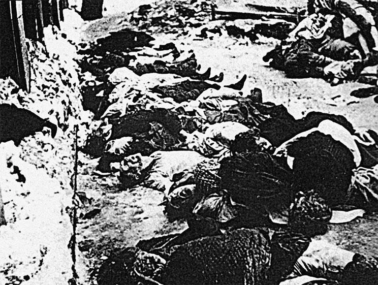 Жертвы подразделения Бранденбург в районе польского города Влоклавека В - фото 5