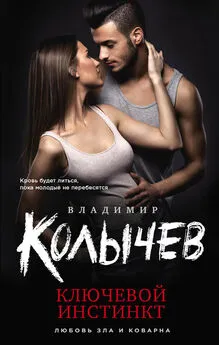 Владимир Колычев - Ключевой инстинкт