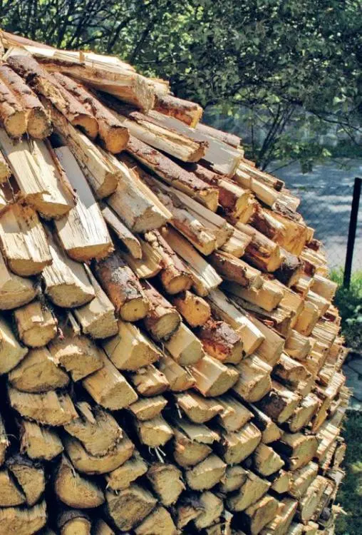 Сосна в круглой поленнице Выложена Рубеном Кнютсеном Хамар - фото 44