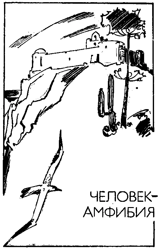 ЧЕЛОВЕКАМФИБИЯ Часть первая МОРСКОЙ ДЬЯВОЛ Наступила душная январская ночь - фото 16