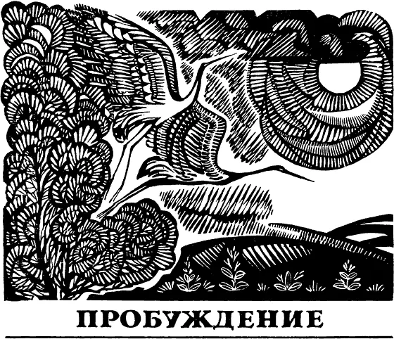 Чернотелки кверху ногами Лицо у егеря красное обветренное губы потрескались - фото 17