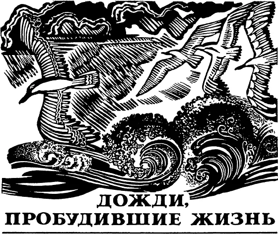 Миллионное скопище Вечером на горизонте пустыни появилась узкая темная полоска - фото 21
