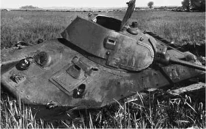 Завязшие на заливном лугу и брошенные экипажами Т34 довоенного выпуска - фото 19