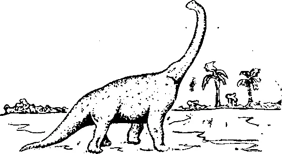 Рис 14 Брахиозавр гигантский травоядный ящер Диплодок был мирным - фото 15