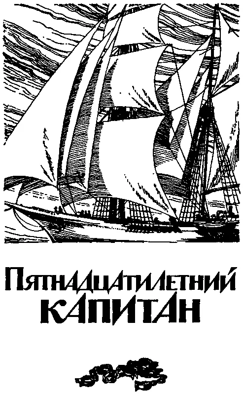 ПЯТНАДЦАТИЛЕТНИЙ КАПИТАН ЧАСТЬ ПЕРВАЯ Глава первая ШХУНА ПИЛИГРИМ Второго - фото 33
