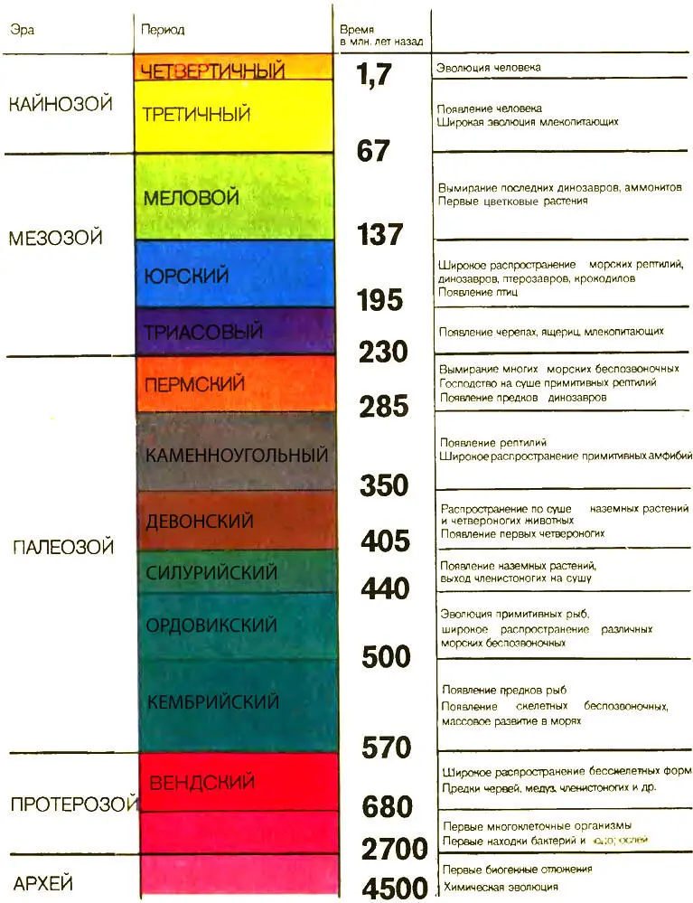 Геохронологическая таблица Часы планеты Одним из первых обычно возникает - фото 10