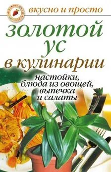 Екатерина Андреева - Золотой ус в кулинарии. Настойки, блюда из овощей, выпечка и салаты
