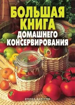 Светлана Ермакова - Большая книга домашнего консервирования