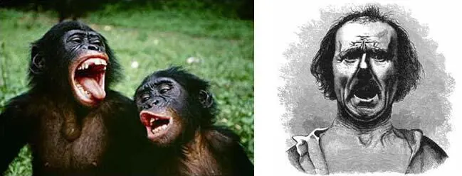 The Expression of the Emotions in Man and Animals 1872 Сегодня мы знаем что - фото 56
