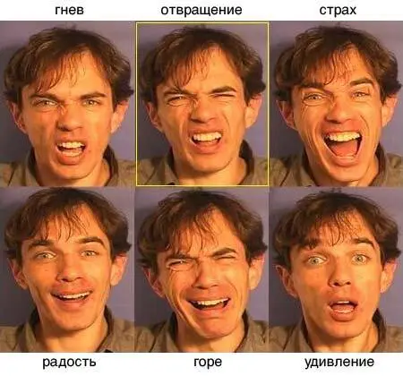 Изначально отвращение могло выполнять функции гигиенического характера но в - фото 58
