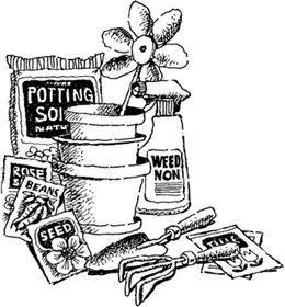 Сроки освоения участка Сколько лет требуется чтобы полностью освоить садовый - фото 61