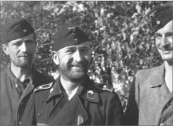 Начиная с середины сентября 1943 года три роты 503го тяжелого танкового - фото 266