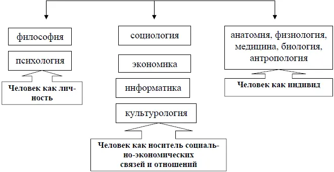 Рис 2 Взаимосвязь педагогики с другими науками Педагогика и философия - фото 5