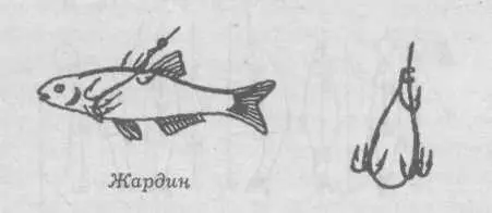 У рыболовов Восточной Европы известна снасточка ариель Этот способ крепления - фото 65