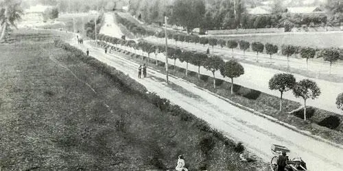 Дорога из Марьиной Рощи в Останкино Фото конца XIX века Вообще московские - фото 90
