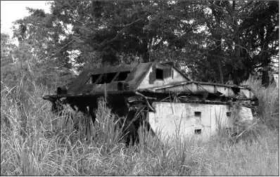 Заржавевший плавающий транспортер LVT1 брошенный в свое время на о - фото 134