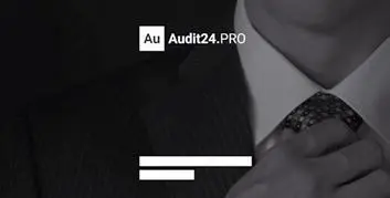 httpaudit24pro Аудиторская программа нового поколения Удобные бланки - фото 12