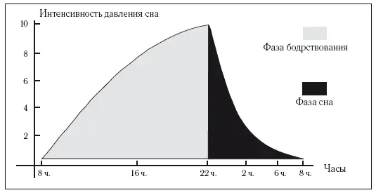 Рисунок 2В течение дня сон постепенно нагнетается В начале ночи его давление - фото 9