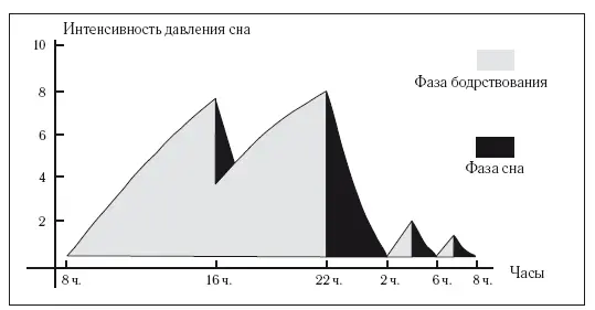 Рисунок 3Легкий дневной сон может привести к чрезвычайно сильному снижению - фото 10