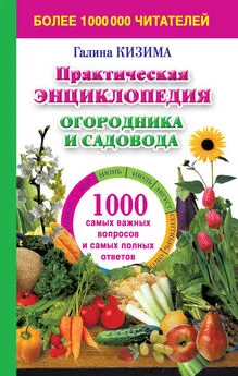 Галина Кизима - Практическая энциклопедия огородника и садовода. 1000 самых важных вопросов и самых полных ответов о саде и огороде