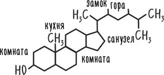 Холестерин похож на квартиру моей мечты Определенные соединения жиров и белков - фото 12
