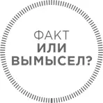Можно ли какуюнибудь пищу называть чудодейственной Мне не нравится когда - фото 4