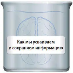 Почетный профессор психологии Альберт Мерабян вероятно наиболее часто - фото 32