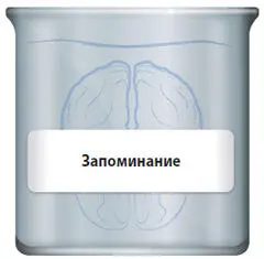 Немецкий психолог Герман Эббингауз оставил в этой области заметный след см - фото 33