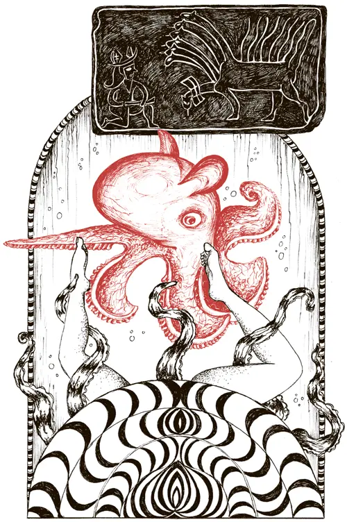 Осьминоги Octopus vulgaris и другие виды Тип моллюски Класс головоногие - фото 69