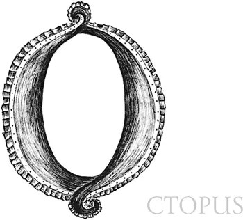 Осьминоги Octopus vulgaris и другие виды Тип моллюски Класс головоногие - фото 70