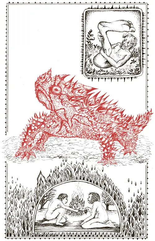 Молох Moloch horridus Класс рептилии Отряд чешуйчатые Семейство агамовые - фото 90
