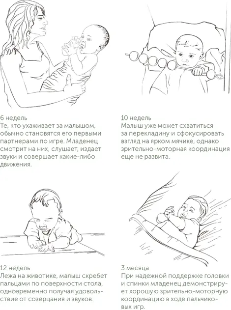 Зрительномоторная координация начинает проявляться приблизительно в возрасте - фото 1