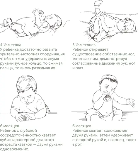 Ключевые наблюдения У ребенка развивается прочная связь с главным взрослым - фото 2