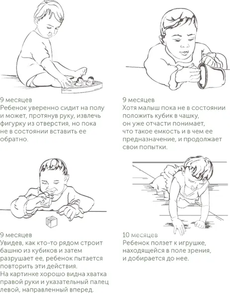 С 912 месяцев ребенок начинает понимать смысл вербальных коммуникаций с - фото 3