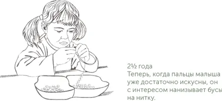 23 года С двухлетнего возраста у ребенка активно развиваются все виды - фото 13