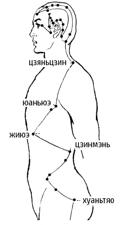 Рис 129 По лицу проходит три ян канала соединяющие руки с толстой и тонкой - фото 160