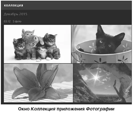 Если вы дважды щелкнете левой клавишей мыши по одному из представленных - фото 159