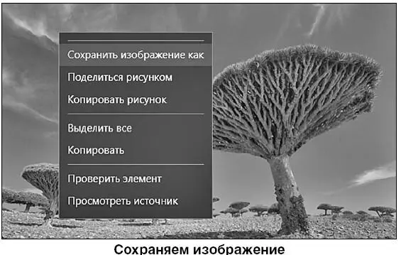 2 В выпадающем окошке выбираете Сохранить изображение как 3 Программа - фото 244