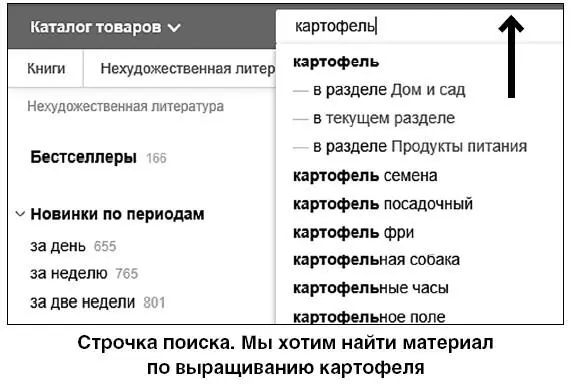 К примеру мы выбрали тему картофель На страничке представлены всетовары по - фото 264
