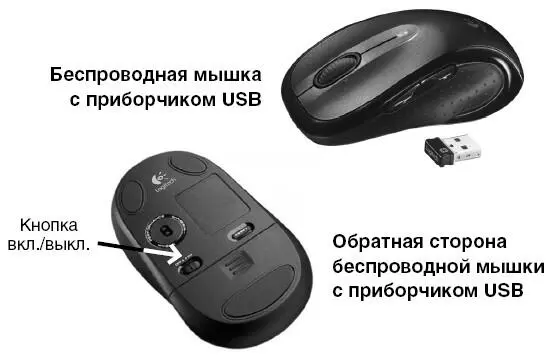 Не бегают компьютерные мышки ни по диванам ни по пенькам Все зависит от того - фото 314