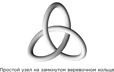 Хорошо известно что простой узел завязанный на замкнутой в кольцо веревке - фото 120