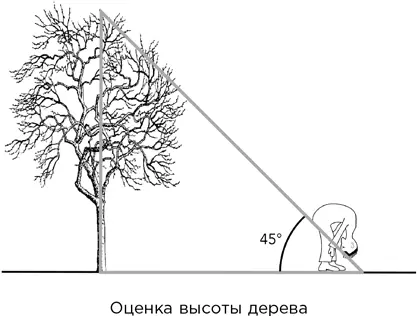 Эта методика если ее можно так назвать представляет собой простое приложение - фото 128