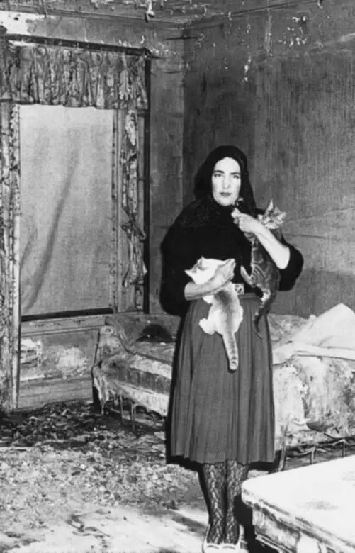 Маленькая Эди со своими котами в усадьбе Серые сады 1975 г Когда семья - фото 242