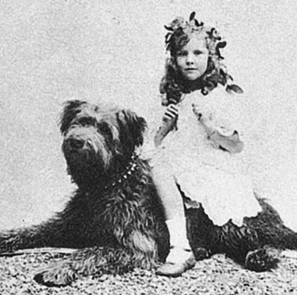 Маргерит МариБланш Ланвен Эдуар Вийяр Портрет Жанны Ланвен 1933 г Жанна - фото 284