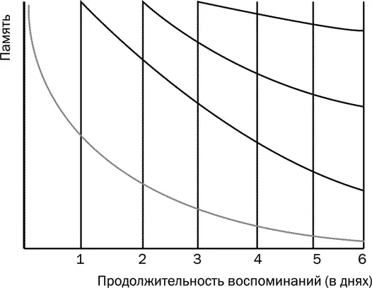 Уже в течение первого часа забывается до 60 полученной информации через 10 - фото 3