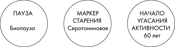Физиологические функции гормона счастья чрезвычайно многообразны Помимо того - фото 22