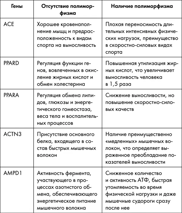 Молекулярногенетическое тестирование предрасположенности к двигательной - фото 31