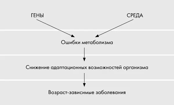 Удивительное открытие сделанное в 2003 году заключается в том что ни стресс - фото 32
